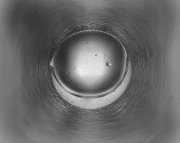 X0000076220194200610051054
