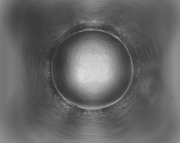 X0000076220197200610051054