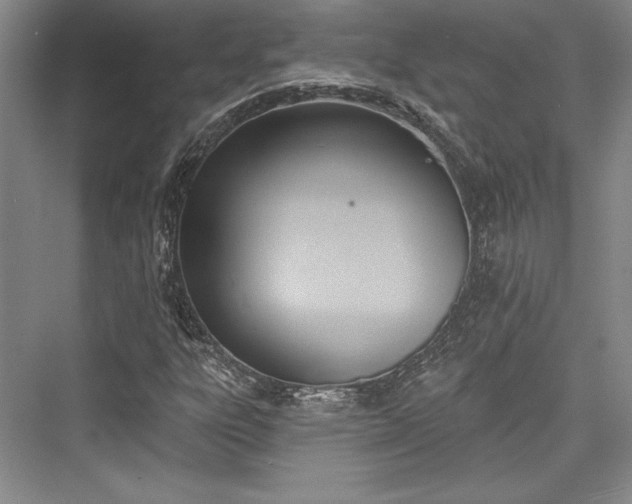 X0000076220199200610051054