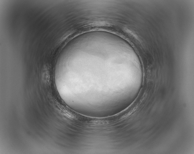 X0000076220201200610051054