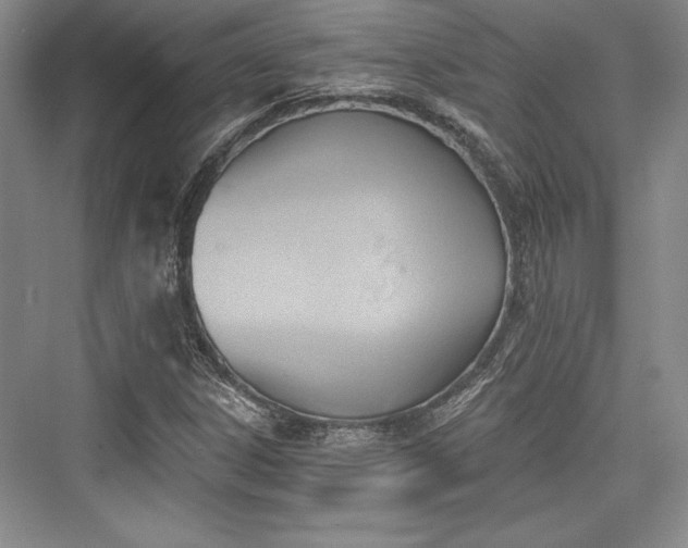 X0000076220202200610051054