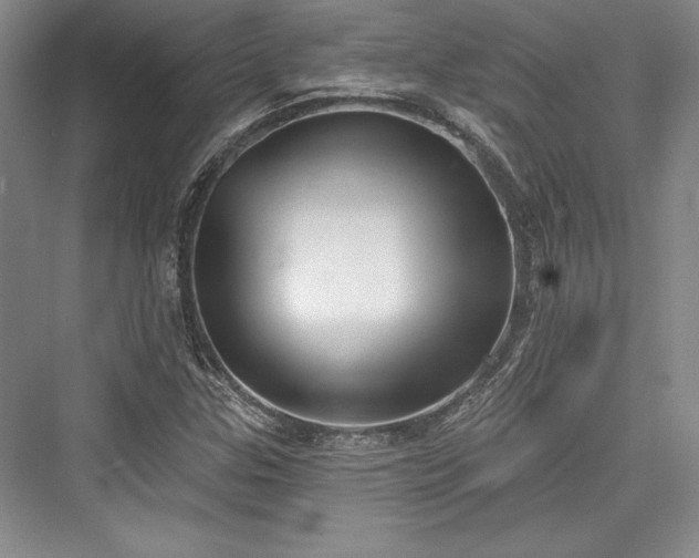 X0000076220203200610051054