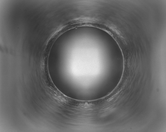 X0000076220205200610051054