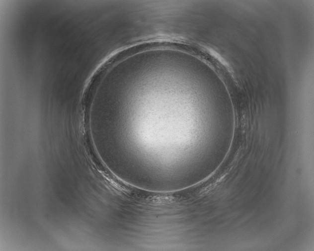X0000076220206200610051054