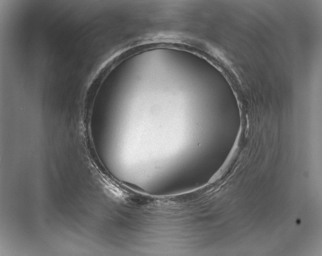 X0000076220208200610051054
