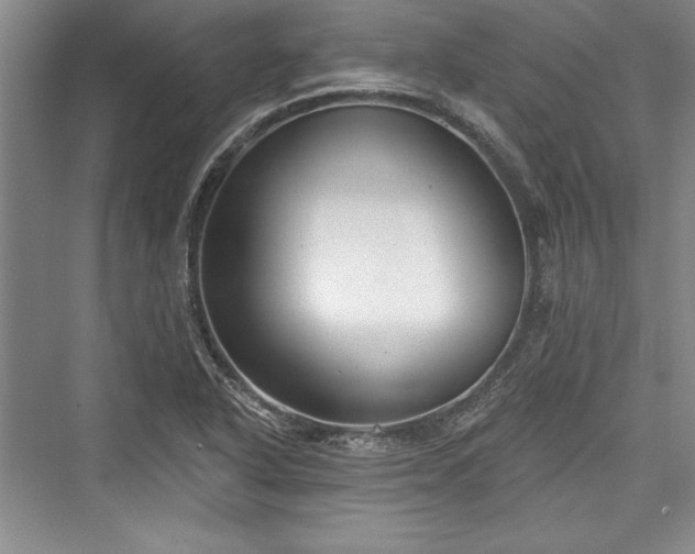 X0000076220214200610051054