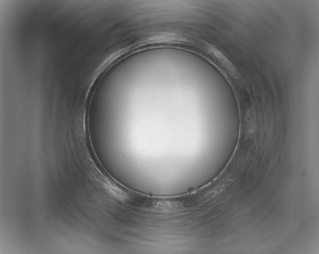 X0000076220218200610051055