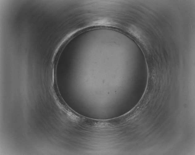 X0000076220219200610051055