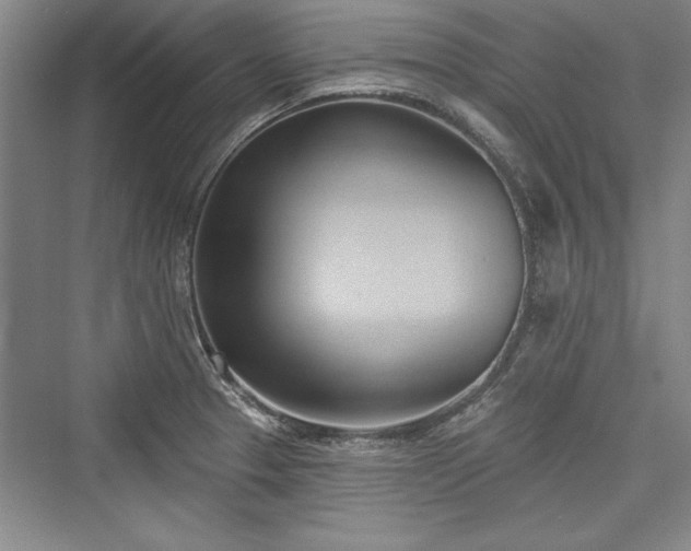 X0000076220225200610051055