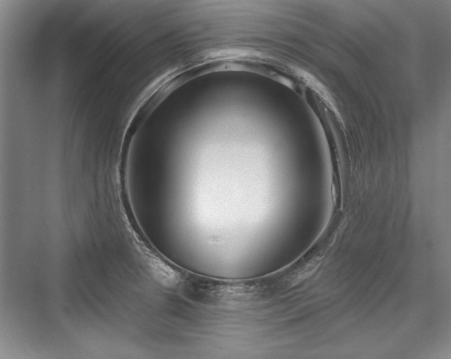 X0000076220226200610051055