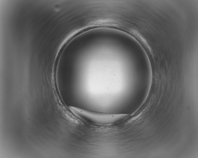 X0000076220232200610051055