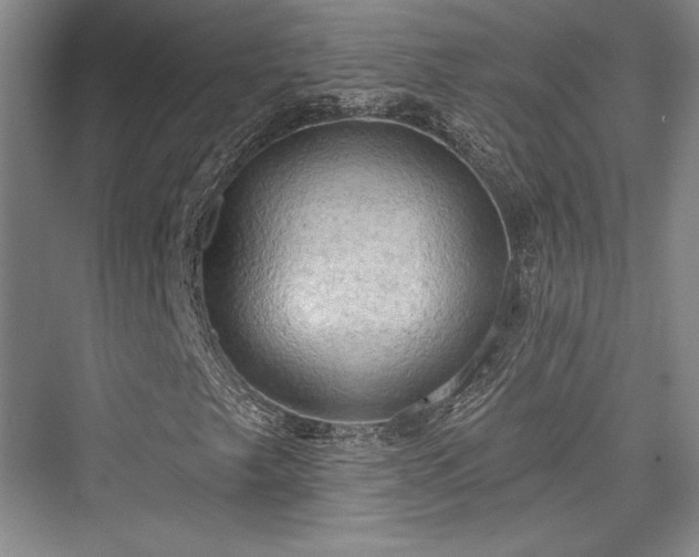 X0000076220241200610051056