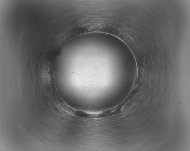 X0000076220242200610051056