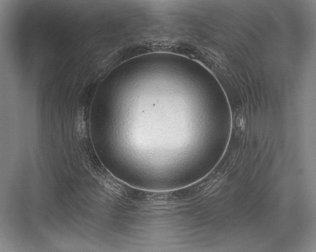 X0000076220244200610051056