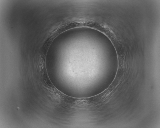 X0000076220245200610051056