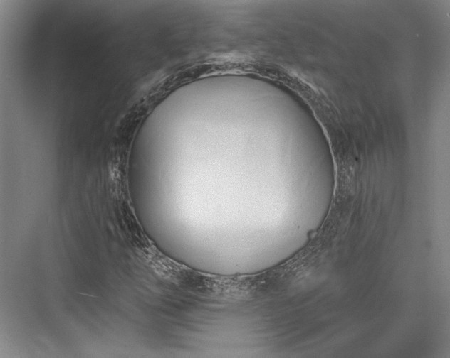 X0000076220246200610051056