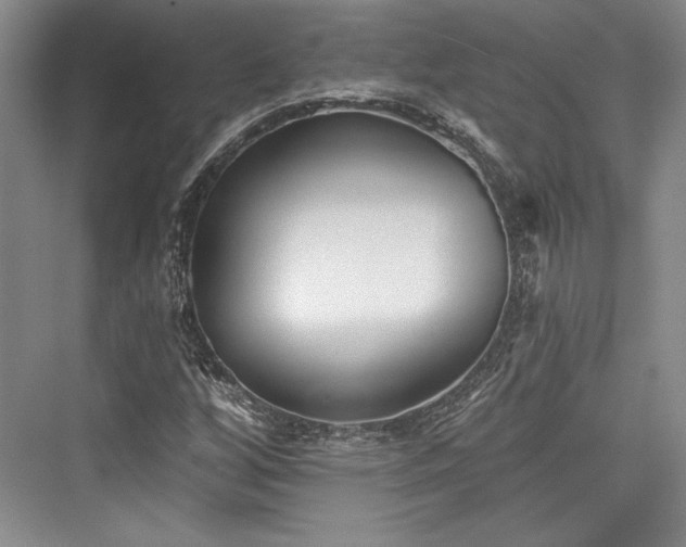 X0000076220248200610051056