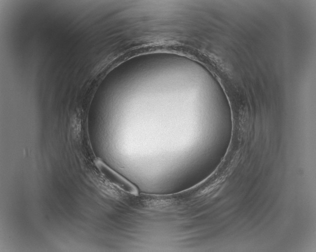 X0000076220249200610051056