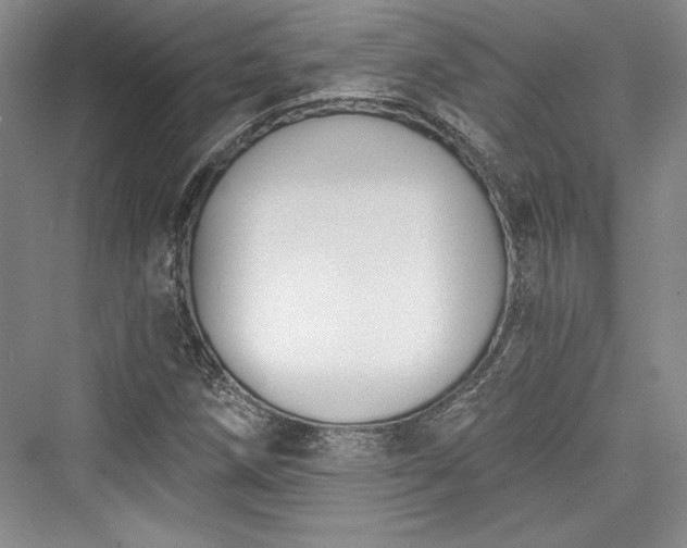 X0000076220250200610051056