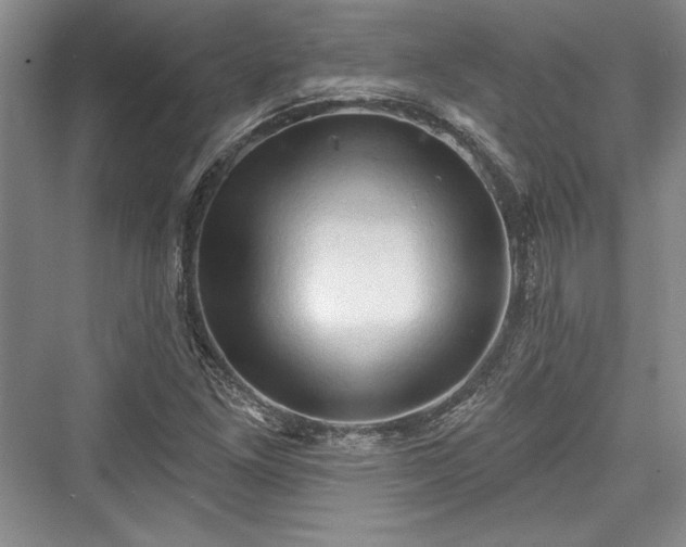 X0000076220253200610051056