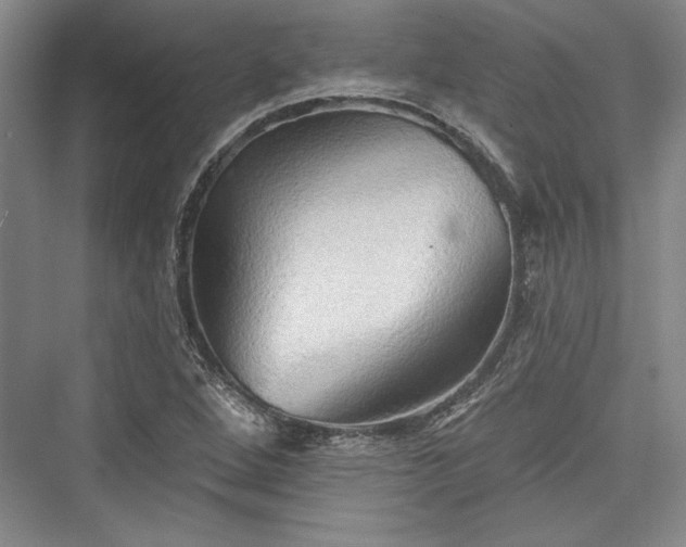 X0000076220256200610051055