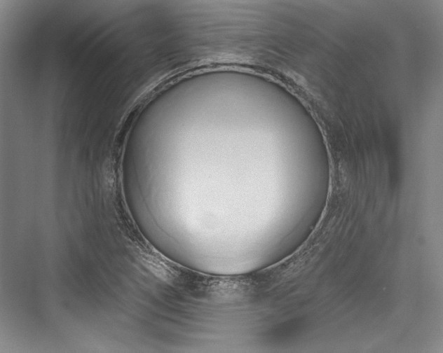 X0000076220258200610051055