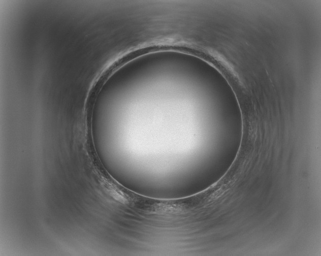 X0000076220262200610051055