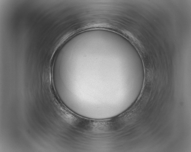 X0000076220266200610051055