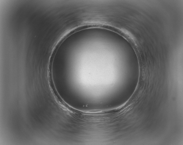 X0000076220271200610051055