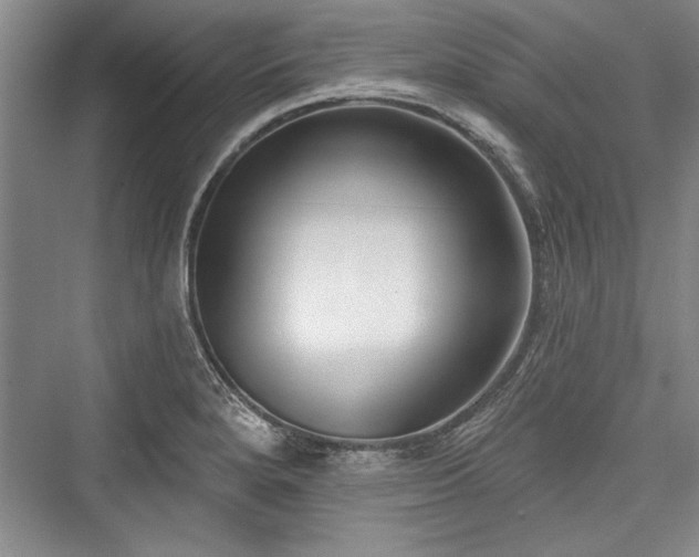X0000076220272200610051055