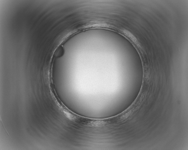 X0000076220274200610051055