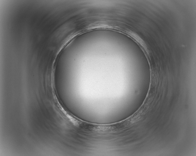 X0000076220282200610051055