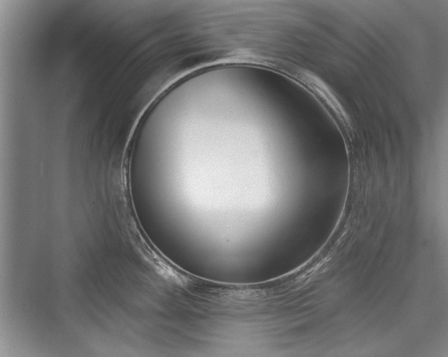 X0000076220284200610051055