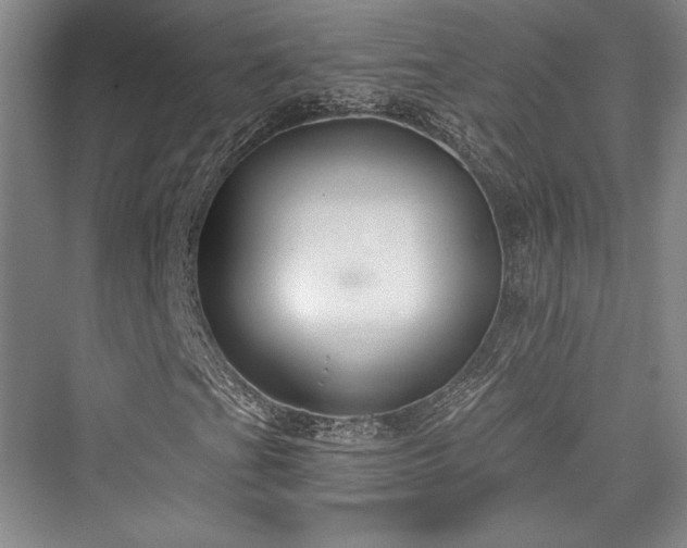 X0000076220289200610051056