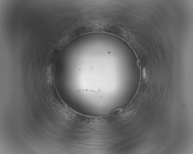 X0000076220291200610051056