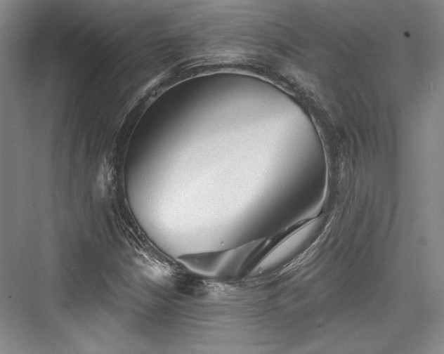 X0000076220298200610051056
