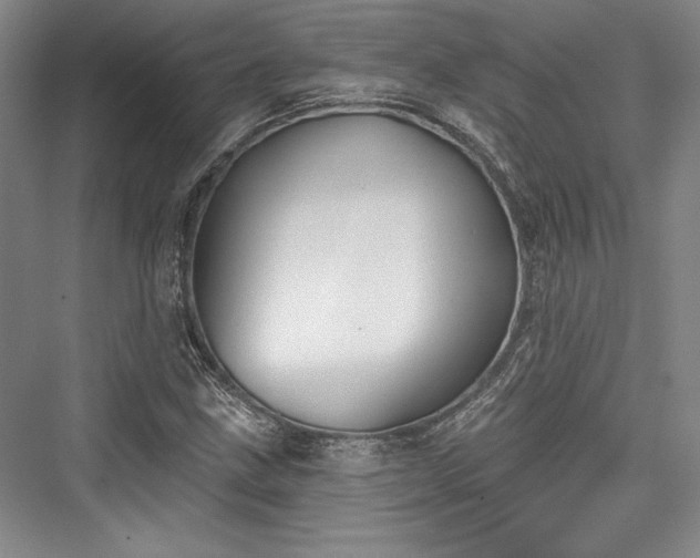 X0000076220299200610051056