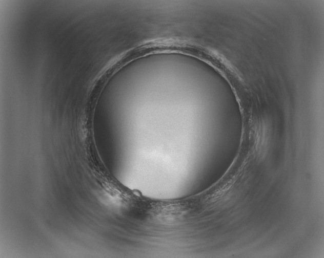 X0000076220301200610051056