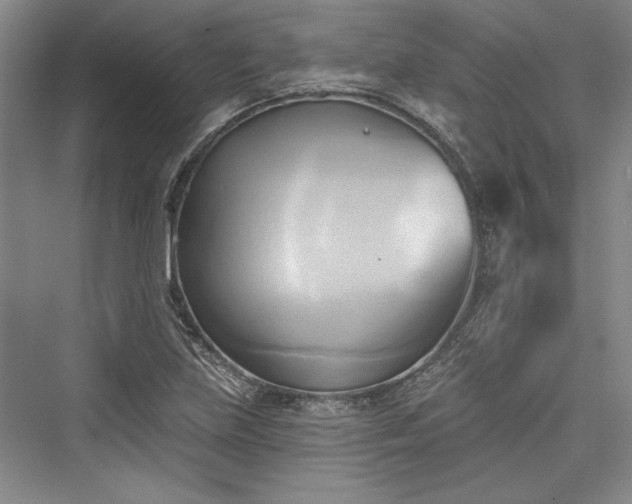 X0000076220307200610051056