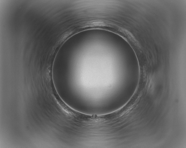 X0000076220313200610051056