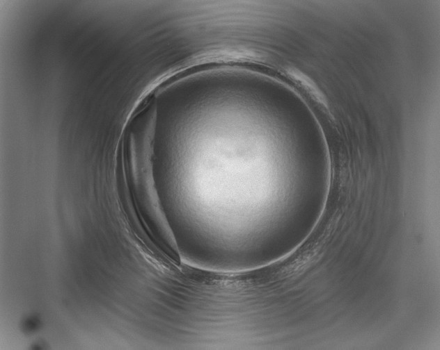 X0000076220314200610051056