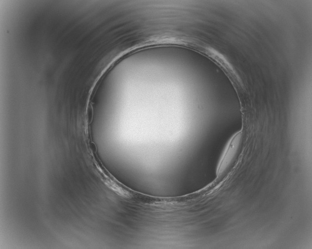X0000076220324200610051056