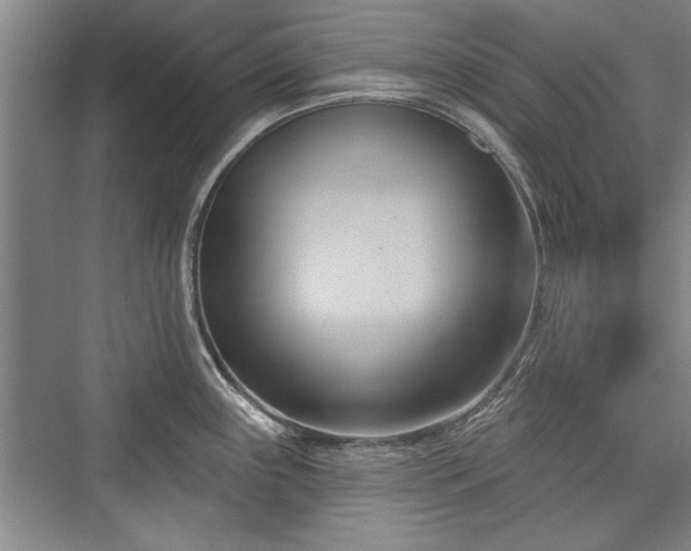 X0000076220331200610051056