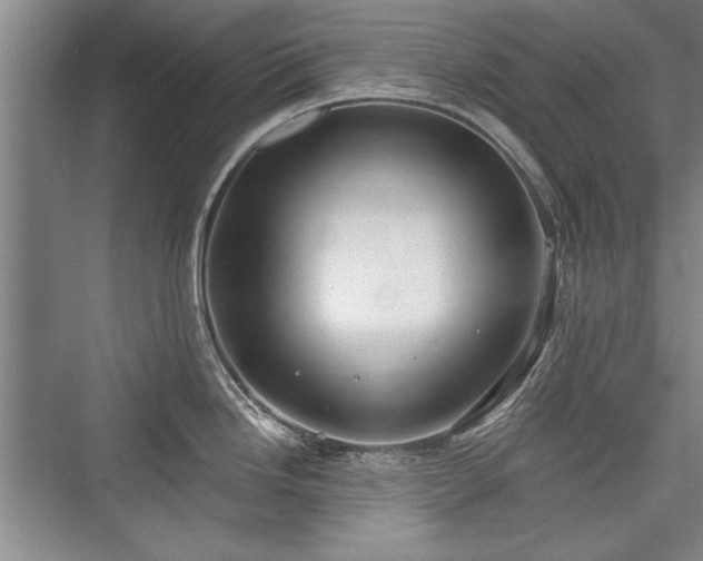 X0000076220334200610051057