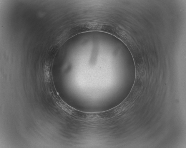 X0000076220338200610051057