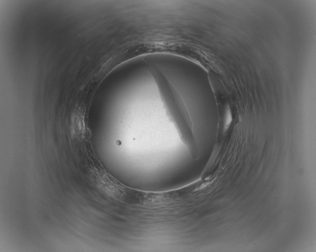X0000076220339200610051057