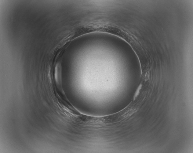 X0000076220340200610051057