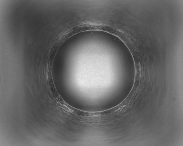 X0000076220341200610051057