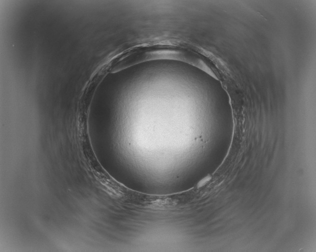 X0000076220344200610051057
