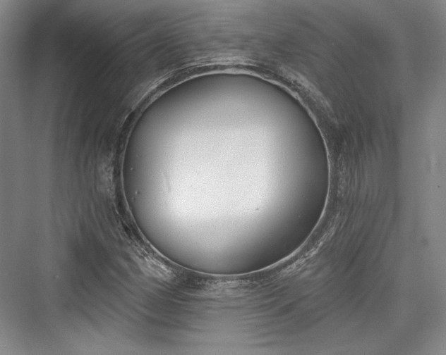 X0000076220346200610051057
